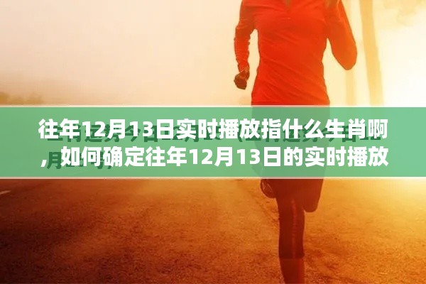 往年12月13日实时播放生肖揭秘，一步步指南助你轻松确定生肖属性！