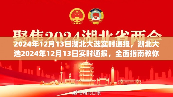 湖北大选实时通报，参与投票的全面指南，2024年12月13日更新