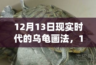 探索新时代绘画风格与技巧，现实时代乌龟画法指南（12月13日特辑）
