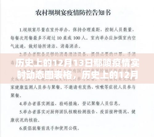 历史上的12月13日鄢陵疫情实时动态图表解读，特性、体验与竞品对比全解析