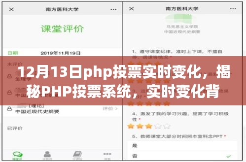 揭秘PHP投票系统实时变化背后的秘密，掌握最新动态，聚焦12月13日投票数据变化