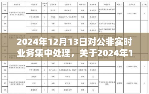 关于2024年12月13日对公非实时业务集中处理的探讨与策略分析