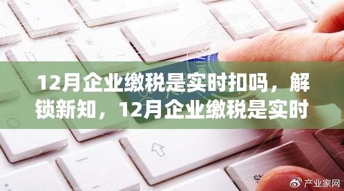 揭秘企业缴税实时扣款机制，12月缴税变化与自信力量的源泉