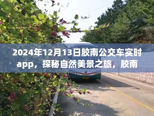 胶南公交实时app带你探秘自然美景，远离尘嚣寻找内心平静之旅