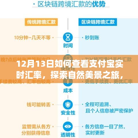 12月13日，支付宝实时汇率查看指南与探索自然美景之旅启程寻找内心宁静之旅。