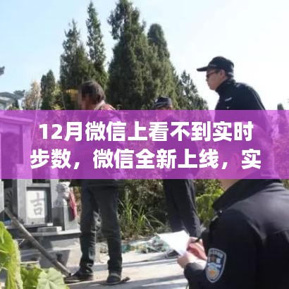 微信实时步数追踪功能升级，重塑健康生活新纪元