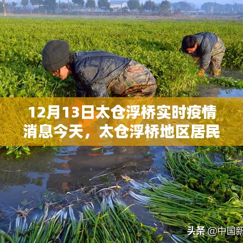 太仓浮桥地区最新疫情消息及防控措施全攻略（初学者与进阶用户必看）