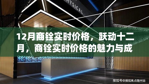 跃动十二月，商铨实时价格的力量与成长魅力