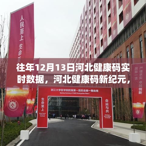 河北健康码历年数据科技前沿体验，新纪元下的实时数据解析