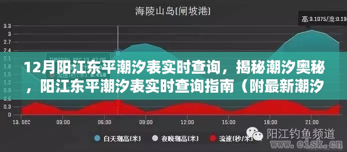阳江东平潮汐表实时查询揭秘，潮汐奥秘与最新信息指南