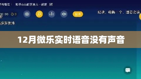 微乐实时语音无声问题解析