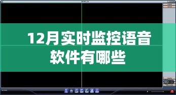 实时语音监控软件十二月榜单