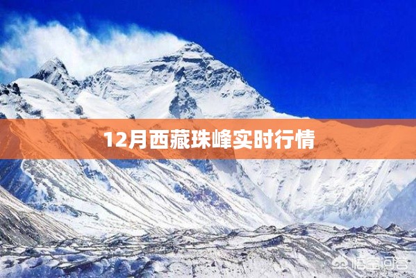 西藏珠峰12月实时行情动态