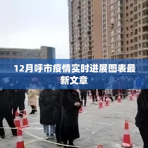 呼市疫情最新实时进展图表分析文章