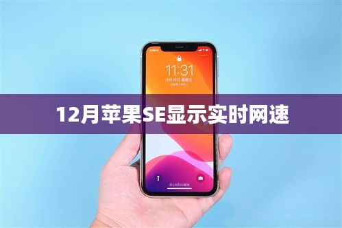 苹果SE实时网速显示攻略