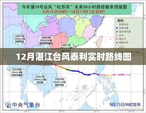 湛江台风泰利实时路线图更新，最新动态解析