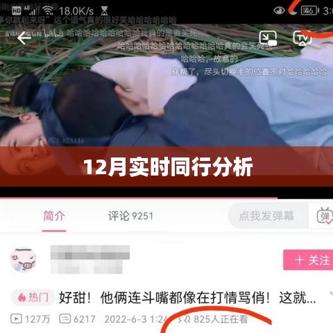 同行分析，揭秘十二月最新趋势