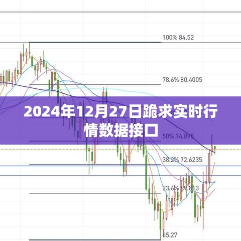 2024年实时行情数据接口查询指南