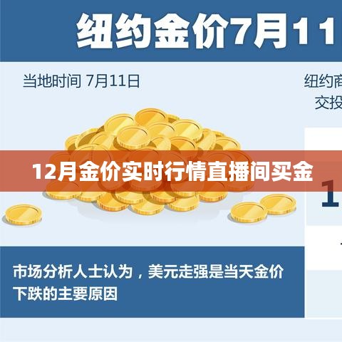 12月黄金行情直播，实时金价分析与交易指南