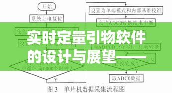 实时定量引物软件设计展望，至2024年展望