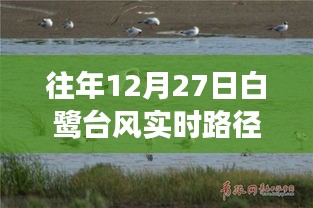 白鹭台风实时路径动态解读与分析