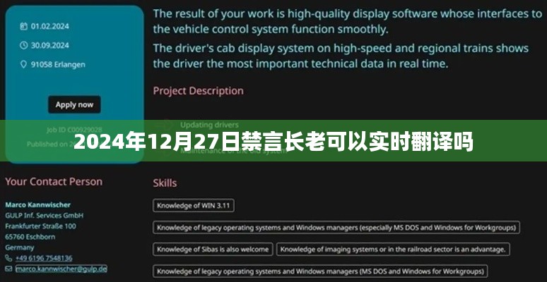 2024年禁言长老实时翻译功能解析