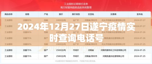 遂宁疫情实时查询电话号（最新更新至2024年12月）