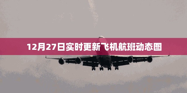 最新航班动态实时更新通知，飞机航班动态图发布
