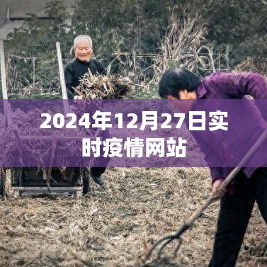 关于疫情实时数据的最新更新通知