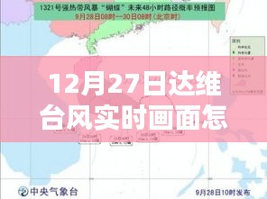 达维台风实时画面查看攻略