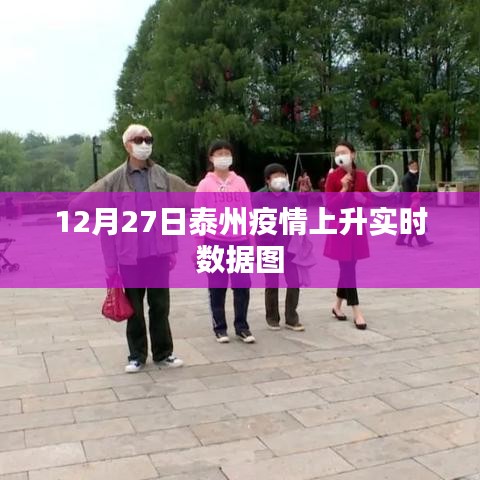 泰州疫情实时数据图，最新上升动态分析