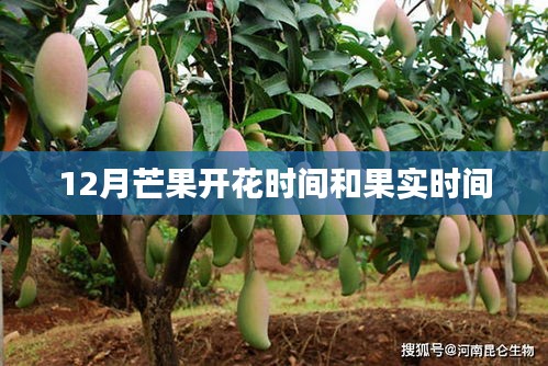碧瓦飞甍 第2页