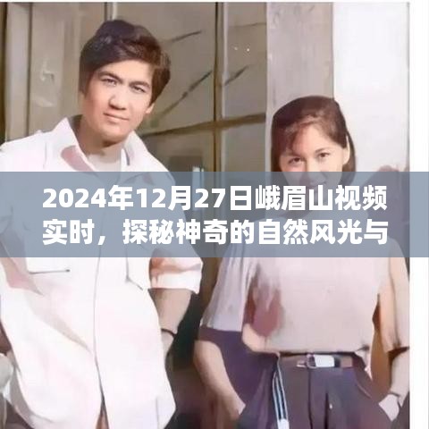 就事论事 第3页