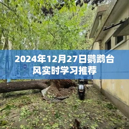 鹦鹉台风实时动态与学习推荐指南（2024年）