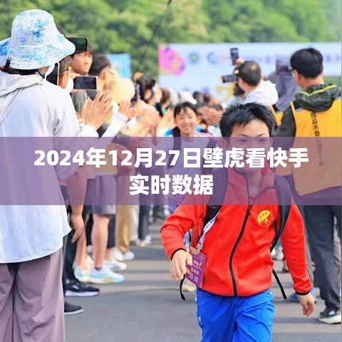壁虎监控快手实时数据报告（2024年12月27日分析）