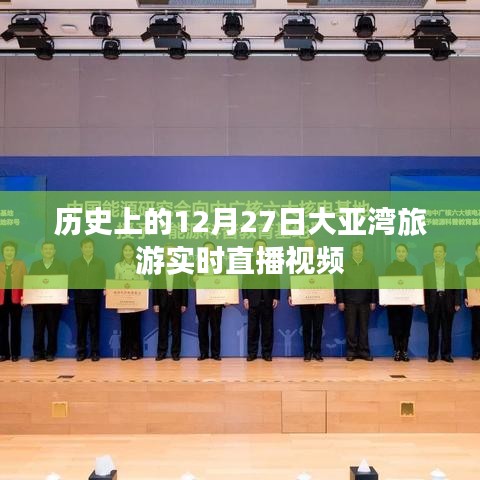 物以希为贵 第3页