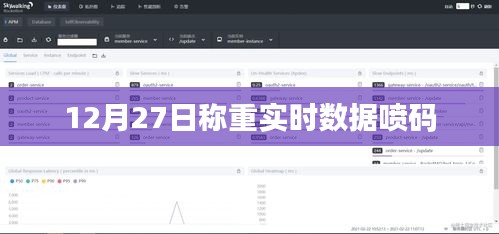 实时称重数据喷码系统，12月27日最新数据解读