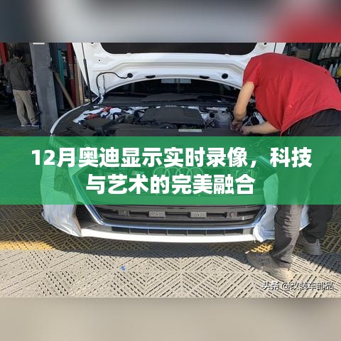 科技与艺术交融，奥迪实时录像展现12月魅力