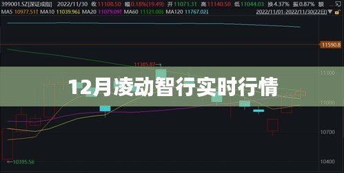 凌动智行实时行情分析（12月版）