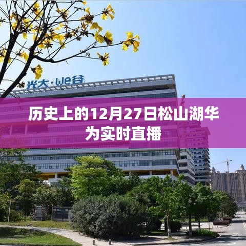 历史上的大事件，松山湖华为直播日回顾