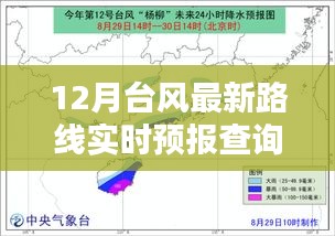 台风实时预报查询，最新路线动态更新