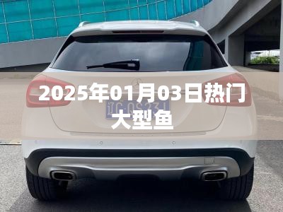 2025年热门大型鱼种介绍