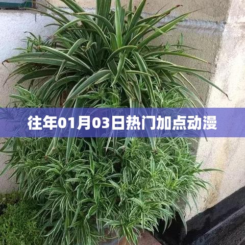 精选动漫加点推荐，历年一月三日热门之选