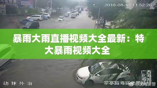 暴雨大雨直播视频大全最新：特大暴雨视频大全 