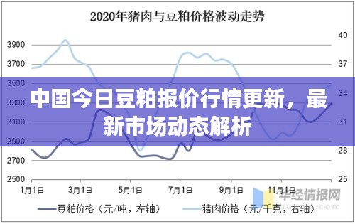 中国今日豆粕报价行情更新，最新市场动态解析