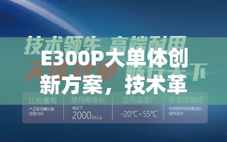 E300P大单体创新方案，技术革新引领行业先锋