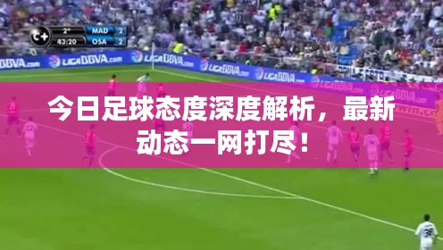 今日足球态度深度解析，最新动态一网打尽！