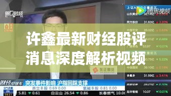 许鑫最新财经股评消息深度解析视频