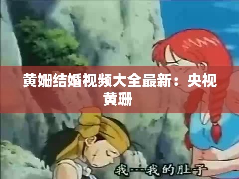 黄姗结婚视频大全最新：央视黄珊 