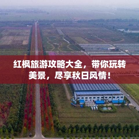 红枫旅游攻略大全，带你玩转美景，尽享秋日风情！